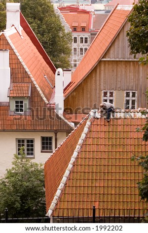 Worker on the roof