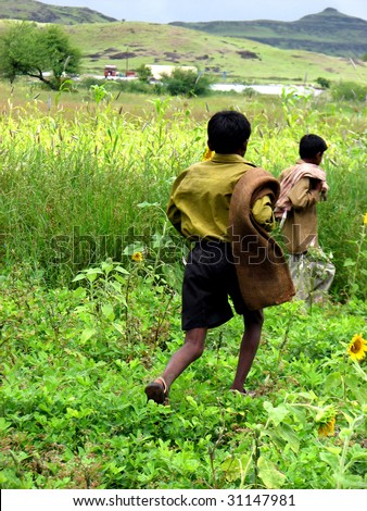 Indian Farmer on Indian Farmer Boys Running In Their Sunflower And Sugarcane Fields