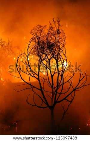Image of Burned tree and abandoned house in the city at dusk