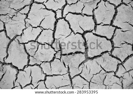 abstract background of cracked clay ground, black and white