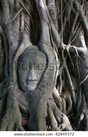Buddha Head in Tree roots, Ayudthaya old city of Thailand.
