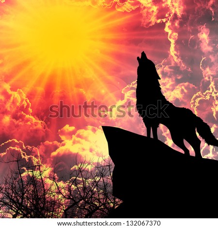 wolf in silhouette howling to the full moon