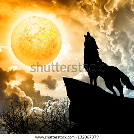 wolf in silhouette howling to the full moon - stock photo