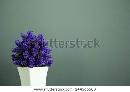 purple plant  for room