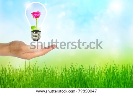 Light bulb in hand (light bulb with beautiful flower inside)