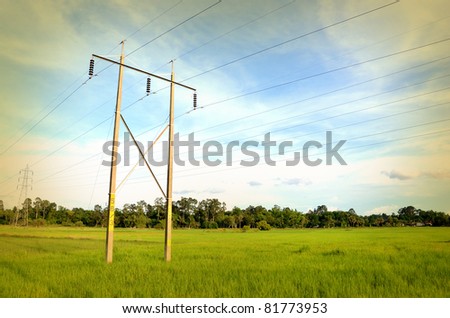 electric power-line on the concrete columnes in the grass field.