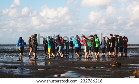 TEXEL, NETHERLANDS - AUGUST, 17, 2014. Walking in the mud and shallow water by low tide is a sport on the wadden islands and is called wad walking.  The nature on the island Texel is marvelous.