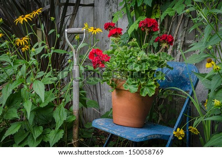 Garden still life with a weathered garden tool handle by a blue chair with a pot of bright red geraniums resting on it. A colorful piece of garden art.