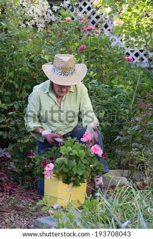 An old woman gardener wearing a brimmed straw hat prepares to transplant a group of pink geraniums in her backyard garden.