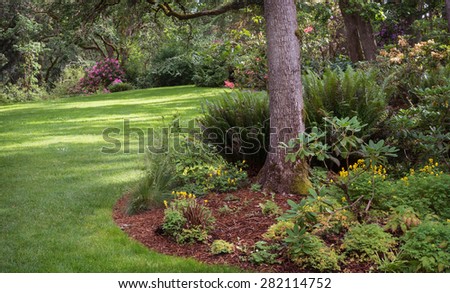 Dappled sunlight decorates the lawn of shady park filled with native plants in Eugene Oregon.