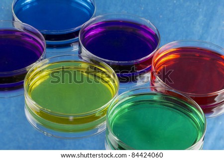 assortment of petri dishes with colored fluid on a reflective surface