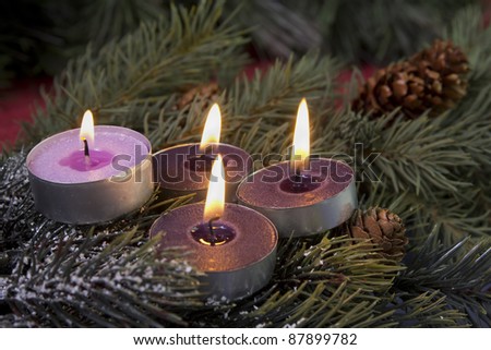 traditional advent candles three purple and one pink on a fir branch