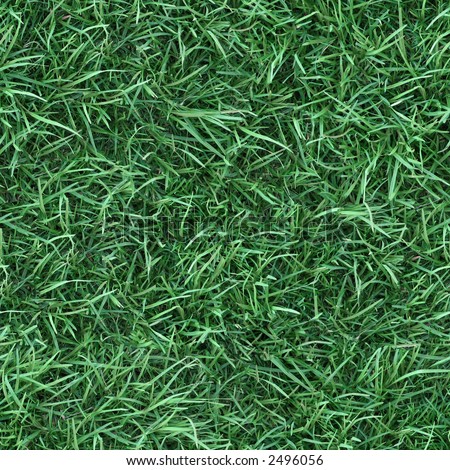 Logo Design Needed on Repeating Grass Texture