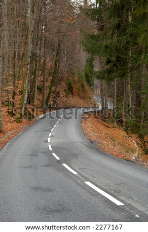 twisting road to a wood