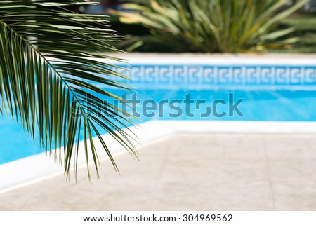 Vacation background with swimming pool and palm leaf