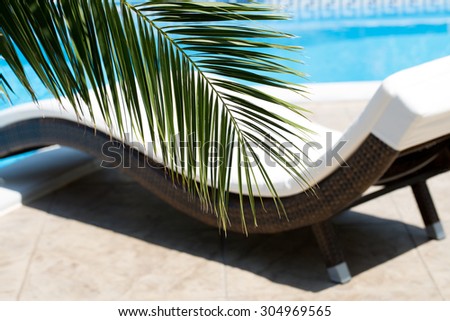 Vacation background with swimming pool and palm leaf