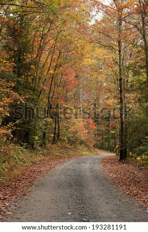 Gravel road with Fall colors in Elljay Georgia.