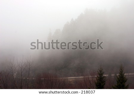 Newfound Gap Road in fog\
\
Great Smoky Mountains