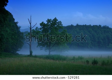 Foggy twilight. Cades Cove, Great Smoky Mountains National Park