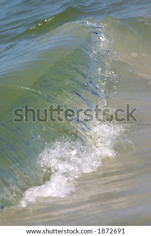 Wave on Florida Gulf Coast