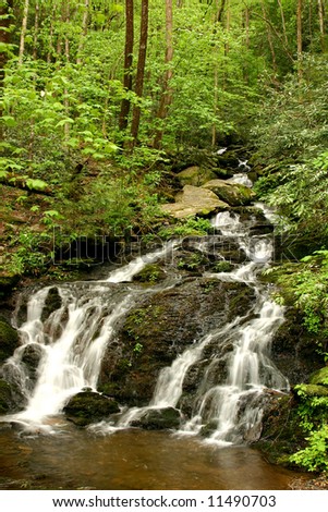 Water flowing over rocks in spring. Great Smoky Mountains