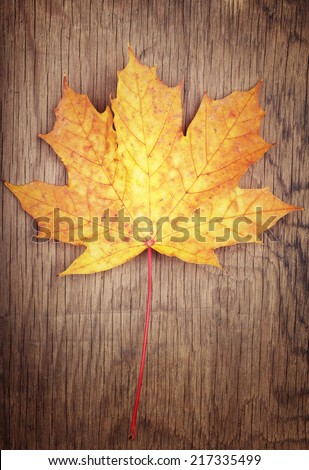 Autumn gold color leaf on wooden background