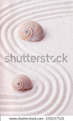 Zen garden with a wave lines in the sand with relaxing snail shells