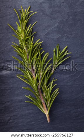 Rosemary herbs with a small piece of rosemary beside it  on dark vintage tile slate background