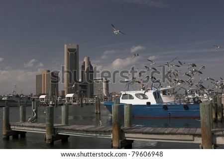 Corpus Christi, Texas harbor with boats, docks and skyline