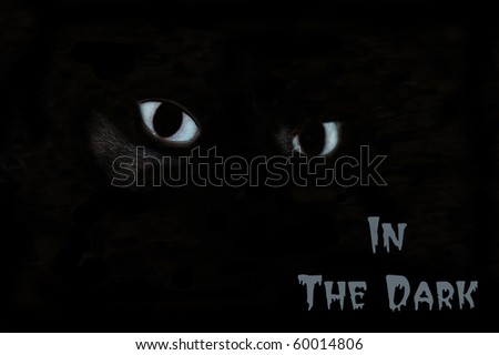 eerie cat\'s eyes in the dark Halloween poster