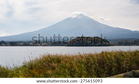 Mountain Fuji with flowers view of kawakuchiko lake, Japan.