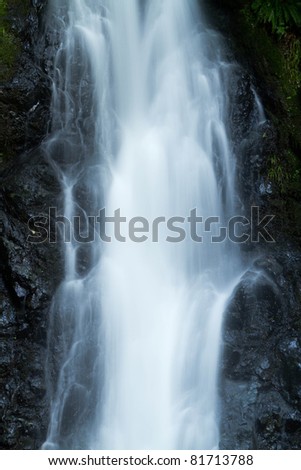a famous water fall in Japan. It is a place for practice of Zen practice in old time.