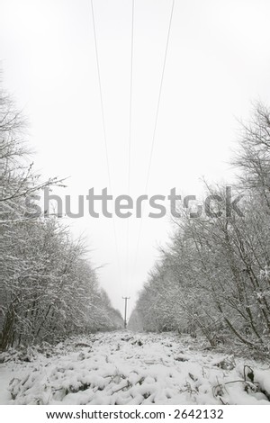 Snow scene of telephone lines disappearing into the distance, note - it may be hard to see the lines at thumbnail size but they are there!