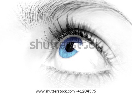 +close+up+pictures+of+eyes Pictures Of Eyes Up Close. +close+up+pictures+of+eyes