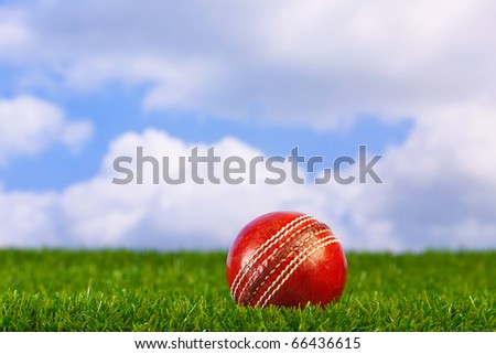 Cricket Ball Grass