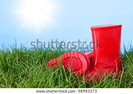 Photo of a childs wellington boots on grass outside on a sunny day