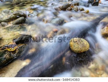 Zen stone over a running stream in Malaysian jungle