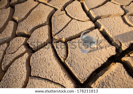 A glass of water on a parched soil during drought and dry season.