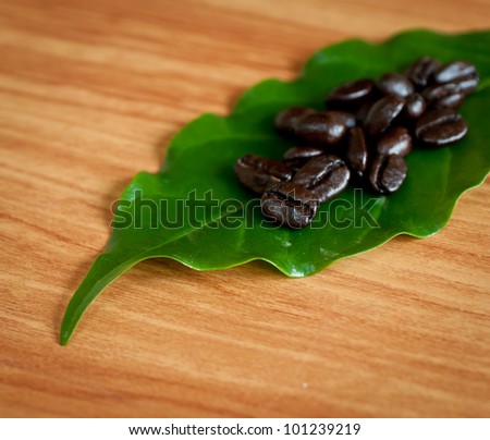 Roasted coffee  beans and coffee leaf  on wood texture.