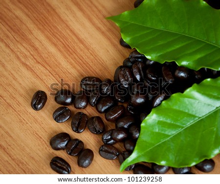 Roasted coffee  beans and coffee leaf  on wood texture.