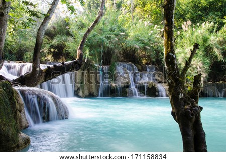 Tad Kwang Sri Waterfall, this waterfall was considered to be the most beautiful waterfall in Asia.