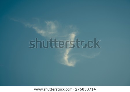 bird wing shape cloud in blue sky.