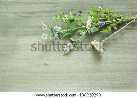 spice, herbal plants on wooden table , top view