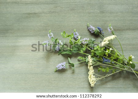 spice, herbal plants on wooden table , top view