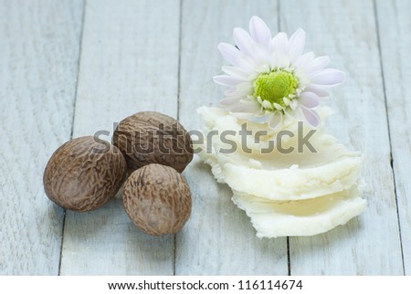 shea butter nuts and shea butter natural moisturizer
