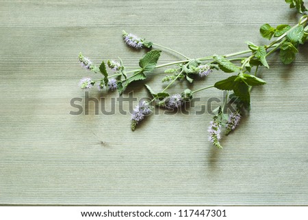 peppermints, herbal plants on wooden table , top view