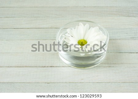 floating flower in aroma bowl,  bright wooden background