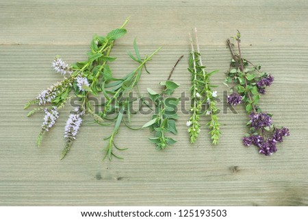 fresh herbs and spice plants on wooden