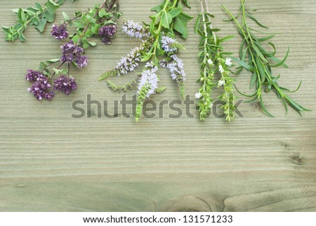 fresh herbs and spice plants on wooden