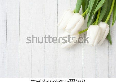 White Tulips On White Wooden Background